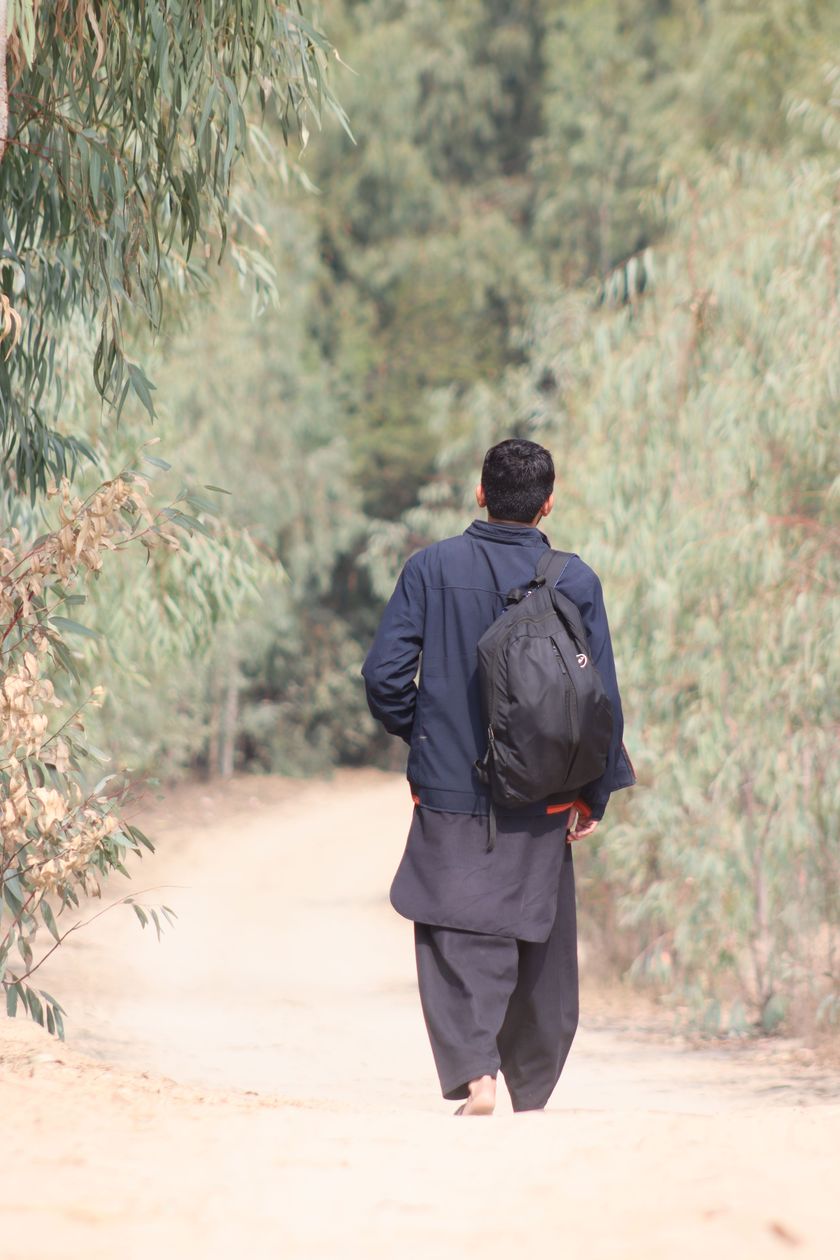 A person walking along a tree-lined path.
